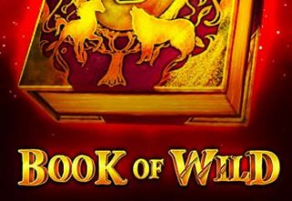 Book of Wild